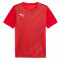 PUMA Sweat à Capuche teamEVOSTRIPE – Adulte