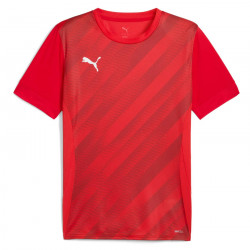 PUMA Sweat à Capuche teamEVOSTRIPE – Adulte