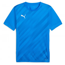 PUMA Sweat à Capuche teamEVOSTRIPE – Adulte