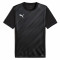PUMA Sweat à Capuche teamEVOSTRIPE – Adulte
