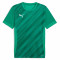 PUMA Sweat à Capuche teamEVOSTRIPE – Adulte