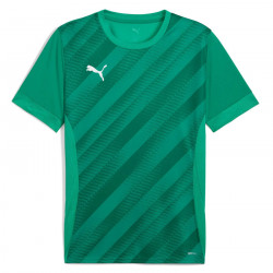 PUMA Sweat à Capuche teamEVOSTRIPE – Adulte