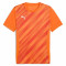 PUMA Sweat à Capuche teamEVOSTRIPE – Adulte