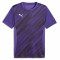 PUMA Sweat à Capuche teamEVOSTRIPE – Adulte