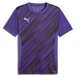 PUMA Sweat à Capuche teamEVOSTRIPE – Adulte