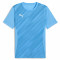 PUMA Sweat à Capuche teamEVOSTRIPE – Adulte