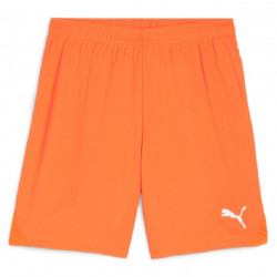 PUMA Sweat à Capuche teamEVOSTRIPE – Adulte