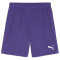 PUMA Sweat à Capuche teamEVOSTRIPE – Adulte