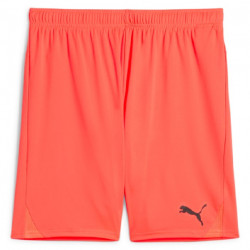 PUMA Sweat à Capuche teamEVOSTRIPE – Adulte