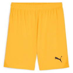 PUMA Sweat à Capuche teamEVOSTRIPE – Adulte