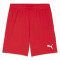 PUMA Sweat à Capuche teamEVOSTRIPE – Adulte