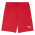 PUMA Sweat à Capuche teamEVOSTRIPE – Adulte