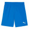 PUMA Sweat à Capuche teamEVOSTRIPE – Adulte