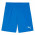 PUMA Sweat à Capuche teamEVOSTRIPE – Adulte