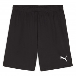 PUMA Sweat à Capuche teamEVOSTRIPE – Adulte