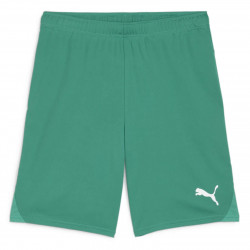 PUMA Sweat à Capuche teamEVOSTRIPE – Adulte