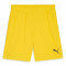 PUMA Sweat à Capuche teamEVOSTRIPE – Adulte