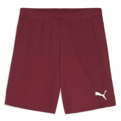 PUMA Sweat à Capuche teamEVOSTRIPE – Adulte