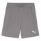 PUMA Sweat à Capuche teamEVOSTRIPE – Adulte