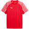 TeamLIGA Jersey