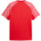 TeamLIGA Jersey