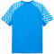 TeamLIGA Jersey