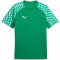 TeamLIGA Jersey