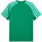 TeamLIGA Jersey