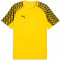 TeamLIGA Jersey
