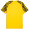 TeamLIGA Jersey