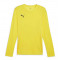 TeamGOAL LS Jersey