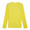 TeamGOAL LS Jersey