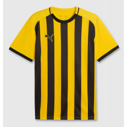 TeamLIGA26 Striped Jersey