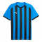 TeamLIGA26 Striped Jersey