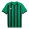 TeamLIGA26 Striped Jersey