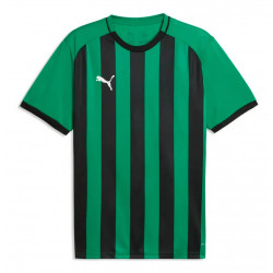 TeamLIGA26 Striped Jersey