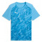 TeamFINAL26 Graphic Jersey