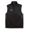 TeamWINTER Gilet