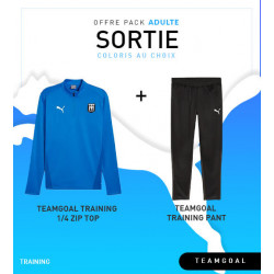 PACK PUMA teamGOAL Training 1/4 Zip Top