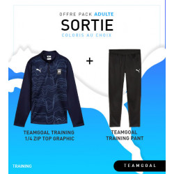 PACK PUMA teamGOAL Training 1/4 Zip Top Graphic