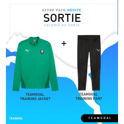 Pack Puma teamGOAL Training Jacket