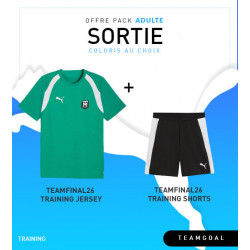 Pack Puma teamFINAL26 Training Jersey