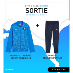 Pack Puma teamGOAL Training Jacket Graphic