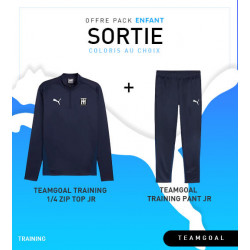 PACK PUMA teamGOAL Training 1/4 Zip Top