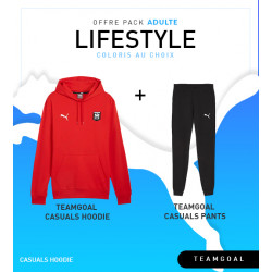 Puma Pack teamGOAL Casuals Hoody