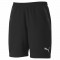 TeamFINAL 21 Casuals Shorts