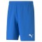 TEAM RISE SHORTS POUR HOMME