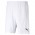 TEAM RISE SHORTS POUR HOMME