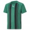 TEAM LIGA STRIPED JERSEY POUR HOMME