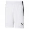 TEAMLIGA SHORTS POUR HOMME